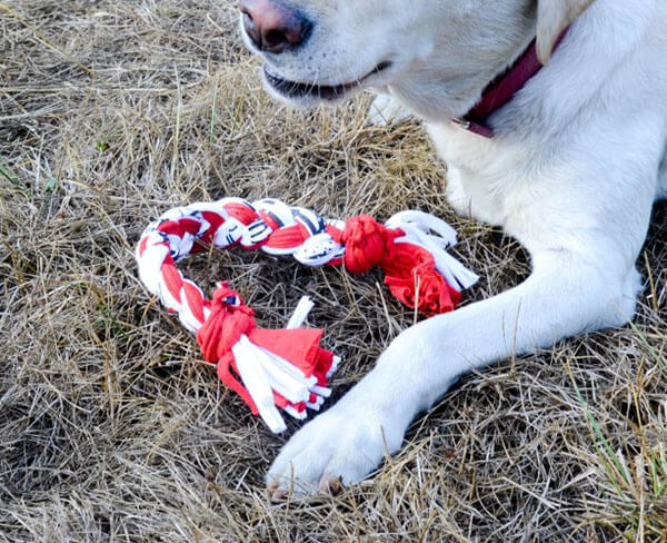Dog Toy Made From Tshirt Yarn Pattern By Barkpost