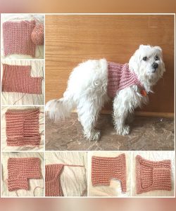 34 Crochet Dog Sweater Patterns - Crochet News