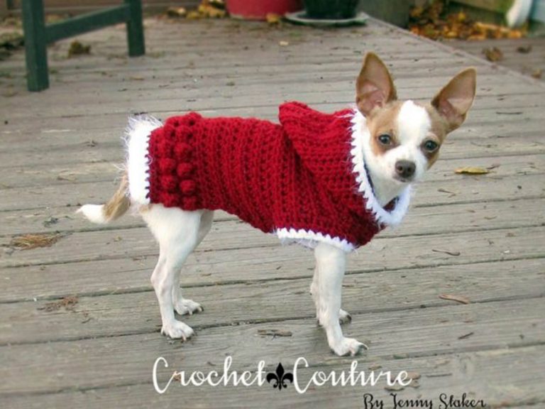 33 Crochet Dog Sweater Patterns Crochet News