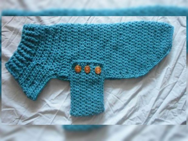 crochet dachshund sweater