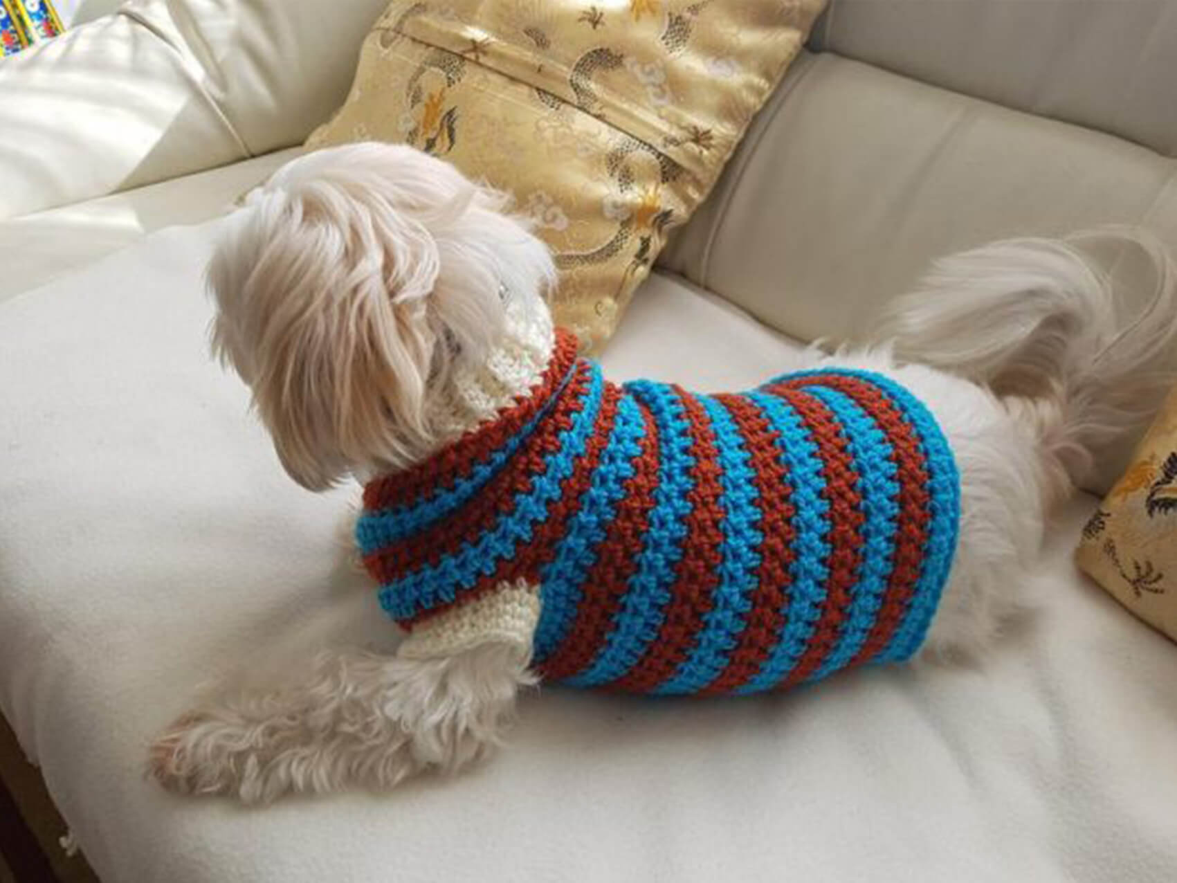 34 Crochet Dog Sweater Patterns Crochet News