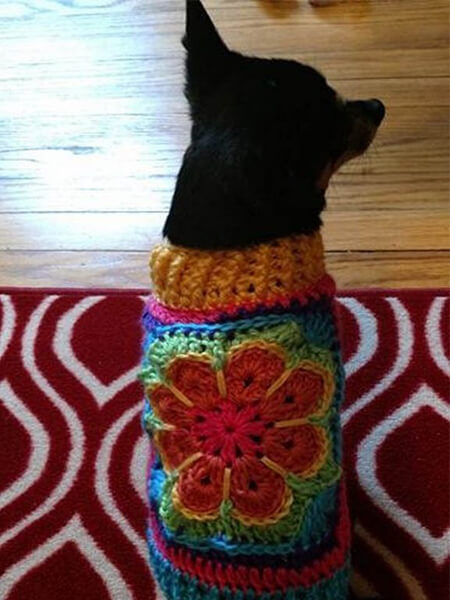 PET CLOTHES FROM A SQUARE MOTIF CROCHET DOG SWEATER WITH LEGS DIY TUTORIAL BY FCWHIMSEY