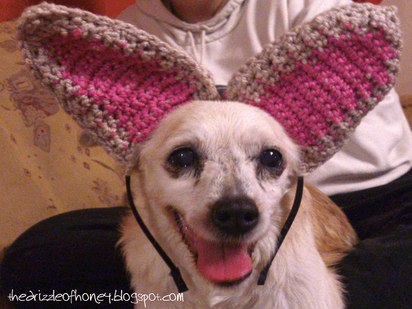Dog Bunny Ears Crochet Pattern by The Drizzle Of Honey