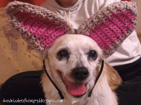 Bobs Burgers Bunny Ears : crochet  Crochet rabbit, Crochet character hats,  Crochet hat pattern