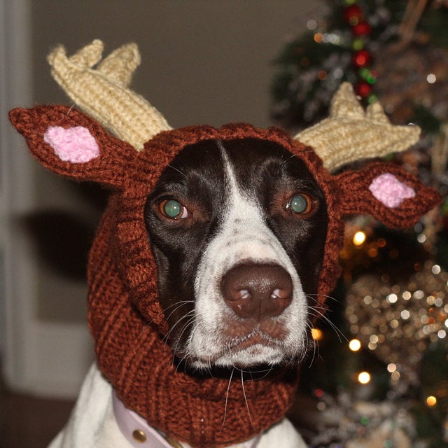 Crochet Reindeer Antlers for Dogs