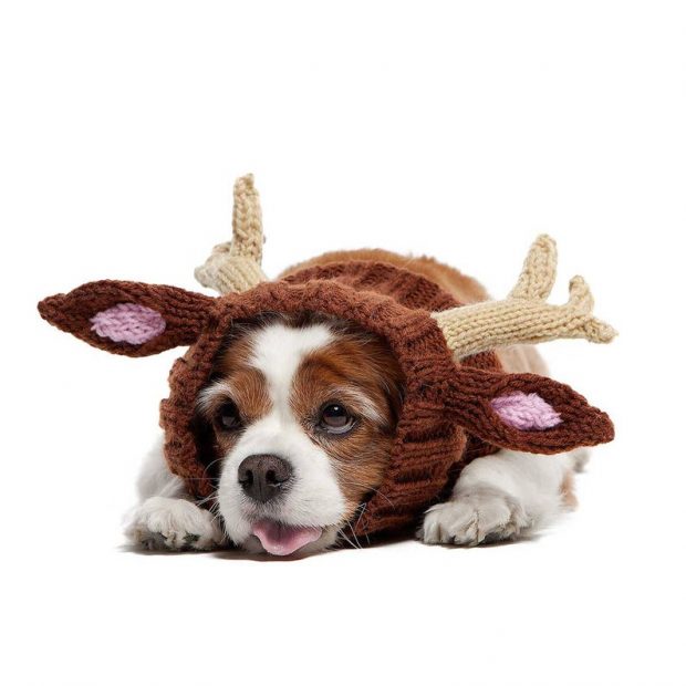 crochet reindeer antler dog hat pattern