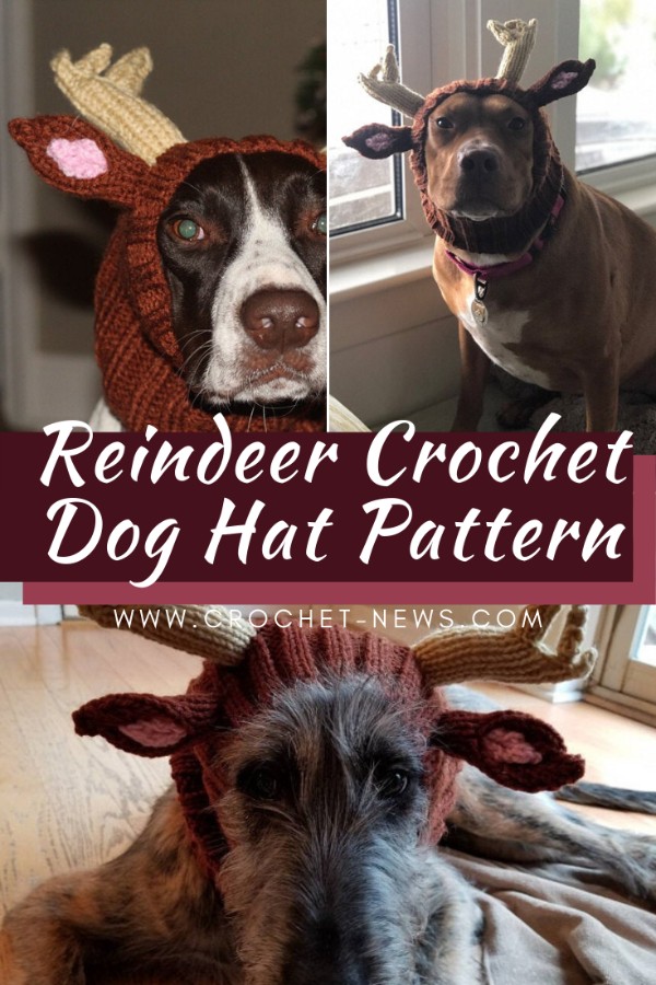 Reindeer Crochet Dog Hat Pattern