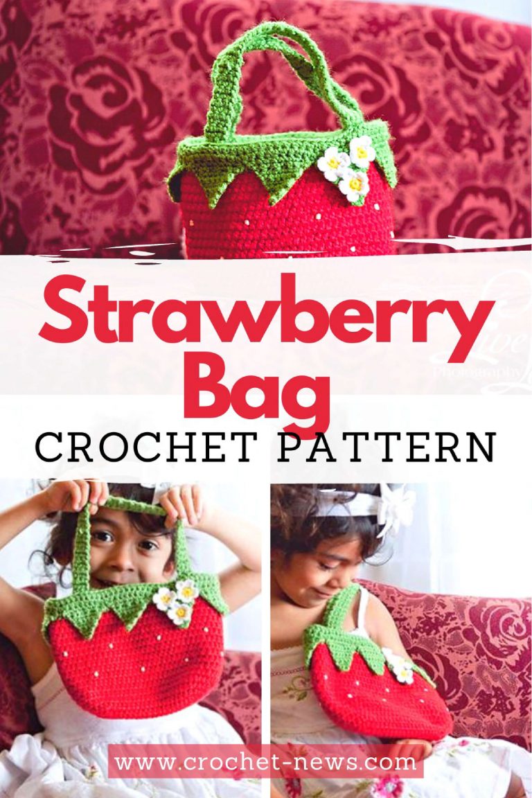 Strawberry Bag Crochet Pattern – Stricken Wolle