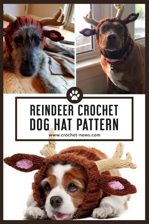 Crochet Reindeer Dog Hat Pattern