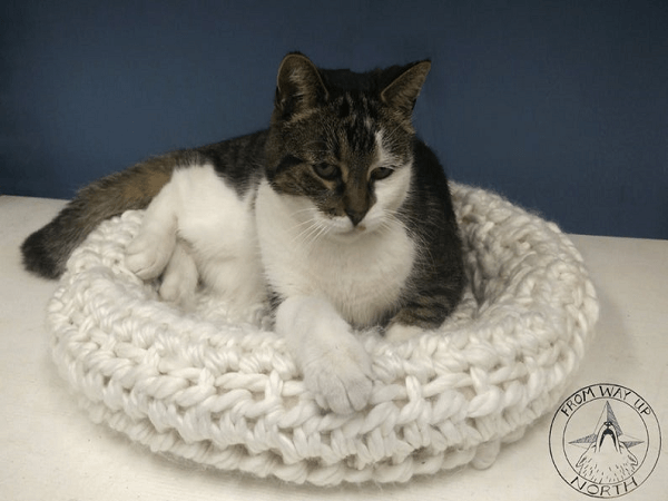 Hibernation Cat Nest Bed Crochet Pattern by From Way Up North