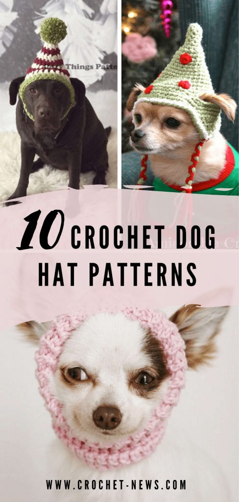 10 Crochet Dog Hat Patterns - Crochet News