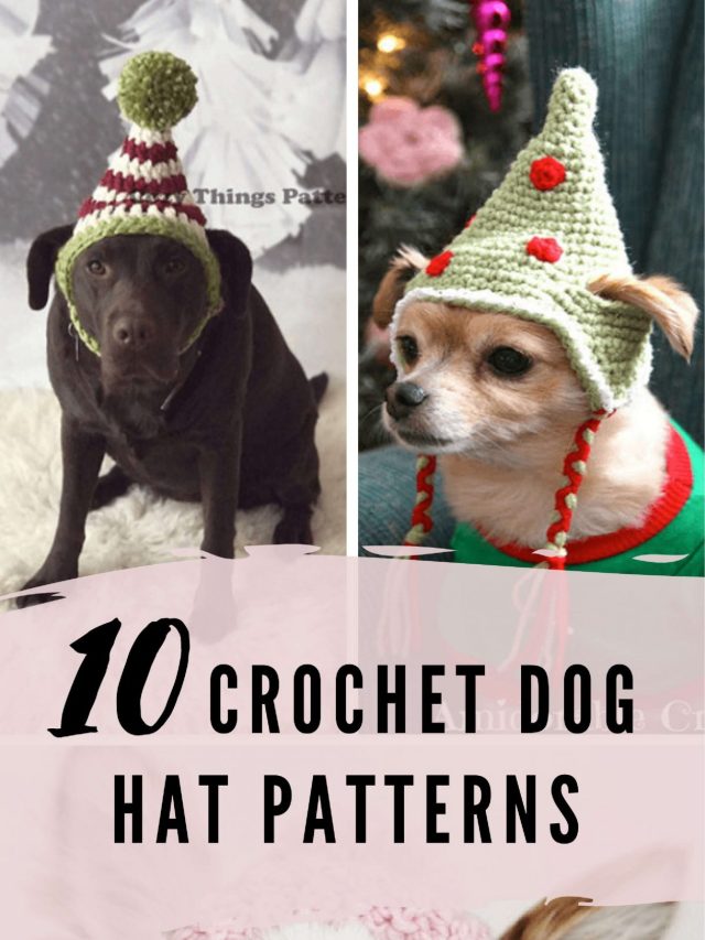 Crochet Dog Hat Patterns Crochet News