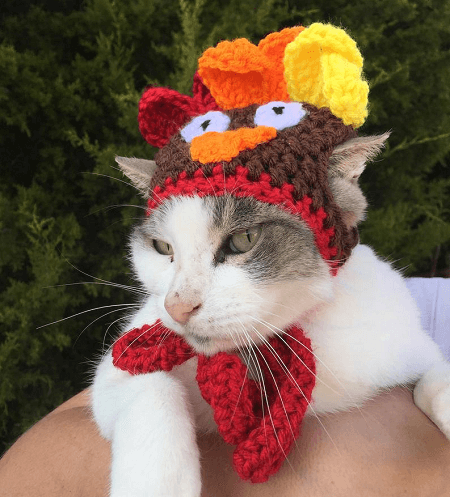 Cat Crochet Turkey Hat Pattern For Pets by Okie Girl Bling n Things