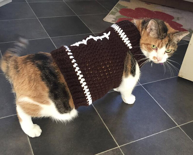 Cat Football Costume By EnchantingCreations7 - Crochet News