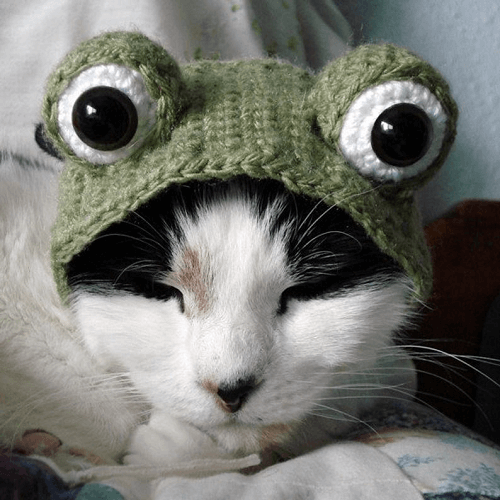 Crochet Frog Hat For Pet Pattern by X Moon Bloom