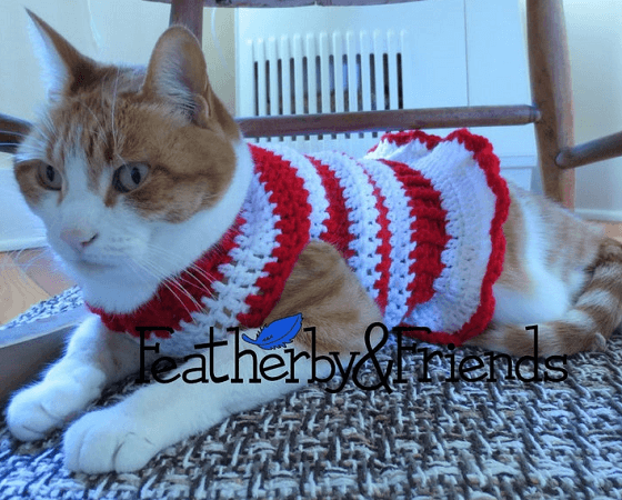 Crochet Candy Cane Pet Sweater Pattern by Featherby And Friends