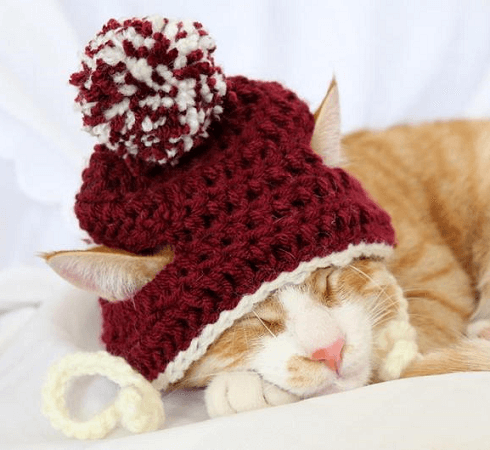 Cat Beanie Crochet Pattern by Pawsome Crochet