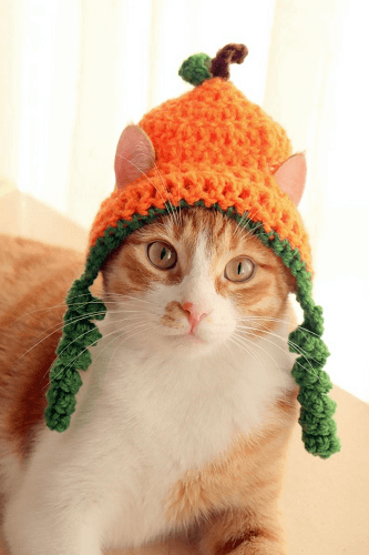Crochet Pumpkin Hat For Cats Pattern by Pawsome Crochet