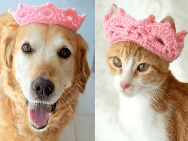 Pet Crown Crochet Pattern by Pawsome Crochet