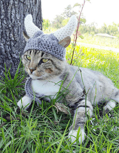 Crochet Viking Hat For Cats Pattern by I Heart Needle Work