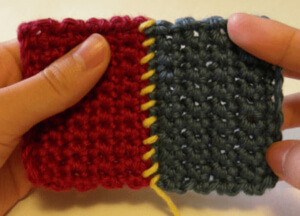 Whip Stitch Crochet