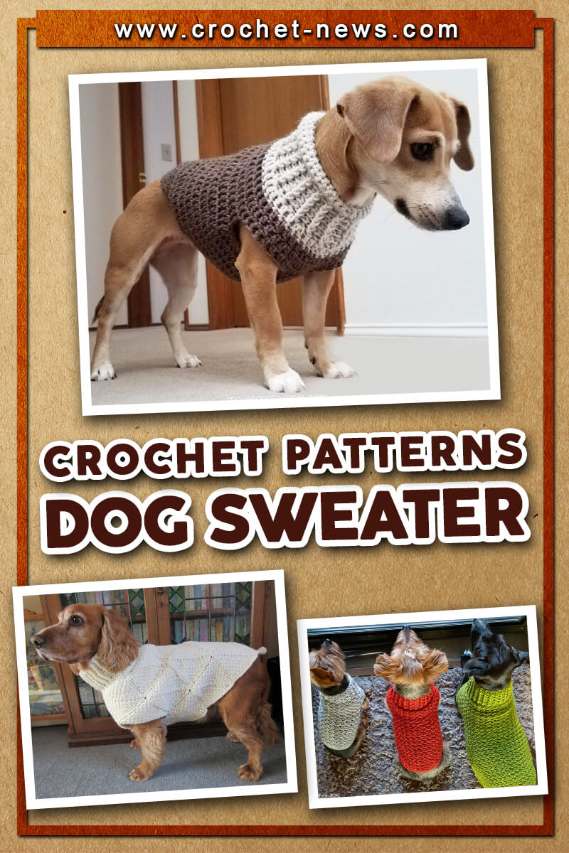 33 Crochet Dog Sweater Patterns - Crochet News