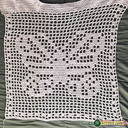 Filet Crochet Butterfly Pattern by Stitches N Scraps