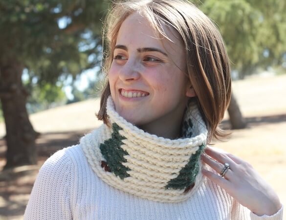 Free Tapestry Crochet Cowl Pattern by E'Claire Makery