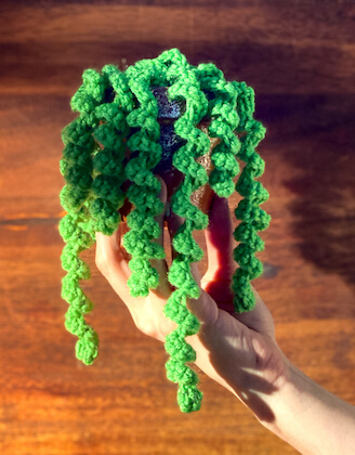 Dangling Curly Plant Crochet Pattern by The Hook Nook Life