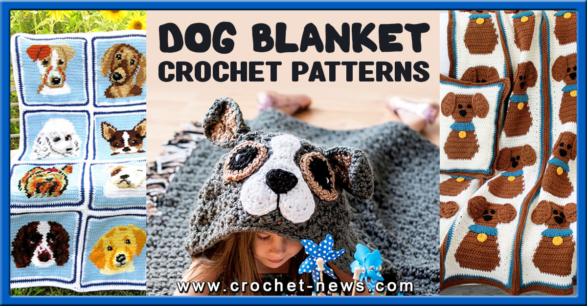 10 Crochet Dog Blanket Patterns