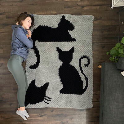 Crochet Cat Afghan Blanket Pattern by Evelyn And Peter