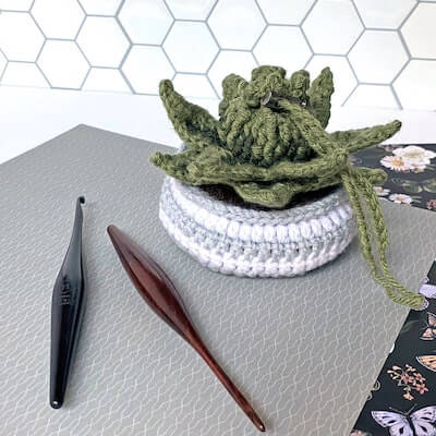 Succulent Dice Bag Crochet Pattern by Craig's Cottage