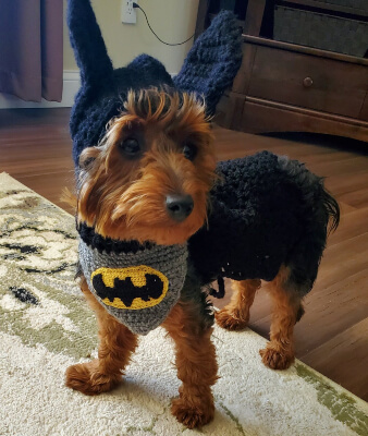 Batdog Caped Hoodie Cowl Crochet Pattern by Creeksendinc