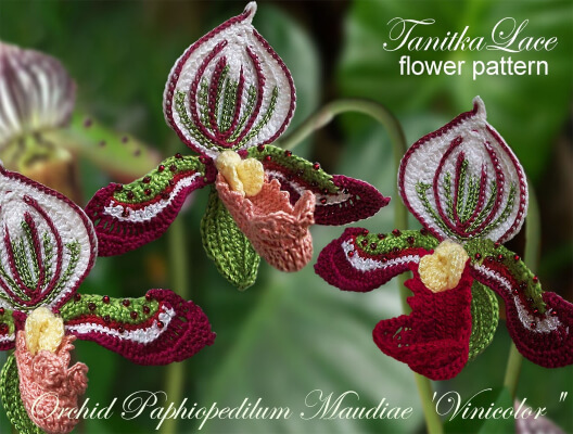 Orchid Paphiopedilum Pattern Crochet Flower by Tanita777