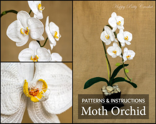 Phal Orchid Flower Pattern by HappyPattyCrochet