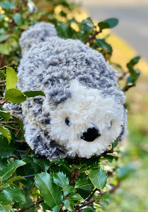 Amigurumi Sea Otter Crochet Pattern by Crafty Kitty Crochet