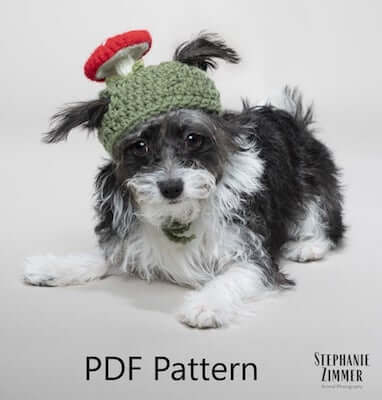 Crochet Mushroom Dog Hat Pattern by Oona Patterns Etc