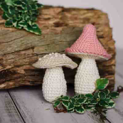 Free Crochet Mushroom Pattern by Thoresby Cottage