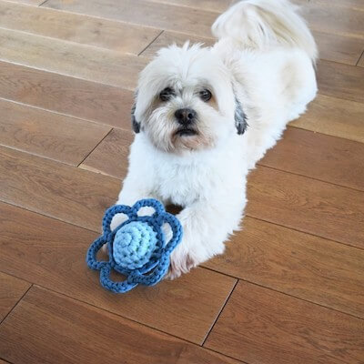 Flower Dog Toy Crochet Pattern by Hobbii