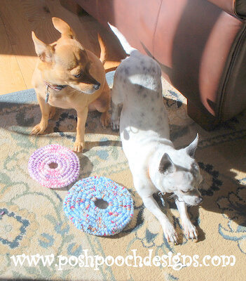 Frisbee Crochet Dog Toys Pattern by Sara Sach