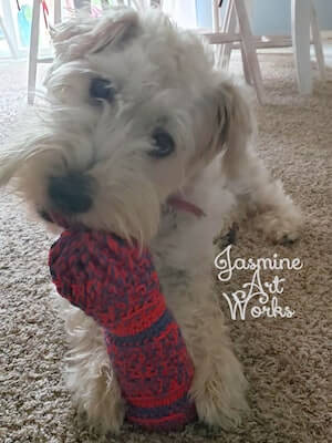 Dog Toy Water Bottle Crochet Pattern by Jasmine Art Woks