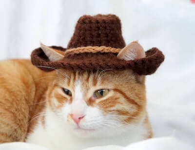 Cowboy Hat For Cats Crochet Pattern by Pawsome Crochet