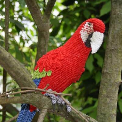 Parrot Crochet Bird Pattern by CARO Created