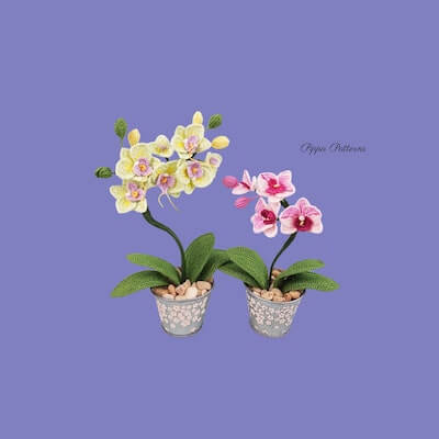 Crochet Tiny Moth Orchid Pattern by Pippa Patterns Crochet