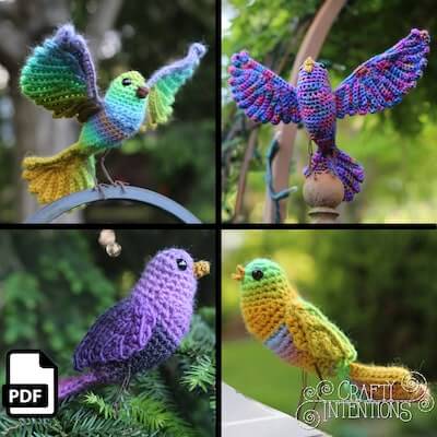 Song Bird Crochet Amigurumi Pattern by Crafty Intentions