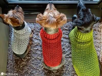 Crochet Dog Sweater Pattern by Heart Hook Home