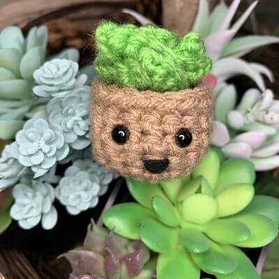 Crochet Mini Succulent Amigurumi Pattern by Wonder Crochet