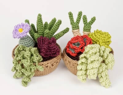 Crochet Succulent Pattern by Planet June