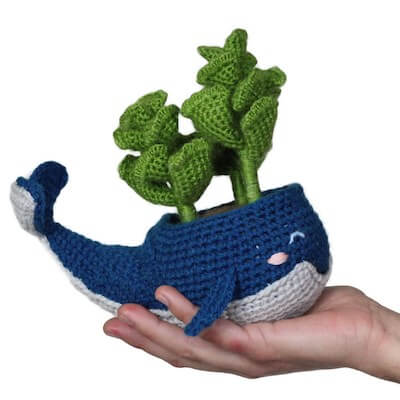 Ellie, The Whale Succulent Amigurumi Pattern by Buddy Rumi