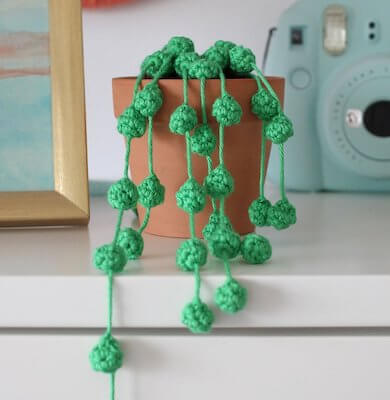 String Of Pearls Amigurumi Crochet Cactus Free Pattern by Ollie + Holly